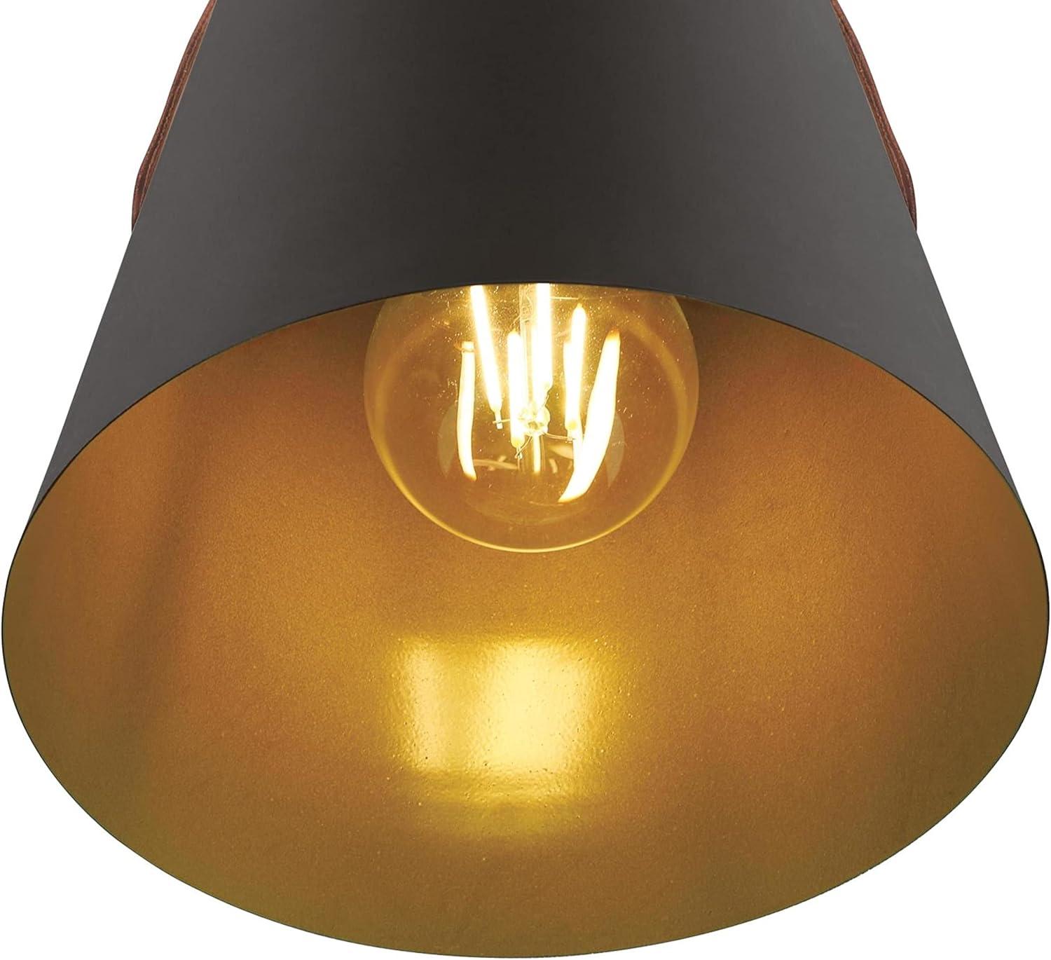 image:imageWestinghouse 6125300 Pasco Contemporary One Light Indoor Mini Pendant BlackBronze Finish with Leather Strap