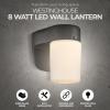 6106700 One-Light Dimmable LED Outdoor Wall Fixture with Dusk to Dawn Sensor, Black Finish with Frosted Opal Glass(Black)