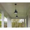 6204600 Orson One-Light Dimmable LED Outdoor Wall Fixture, Oil Rubbed Bronze Finish with Frosted Prismatic Lens(Prismatic Lens)