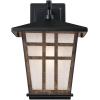 6358200 Rollins One-Light Outdoor Wall Fixture, Matte Black Finish with Barnwood Accents and Frosted Seeded Glass
