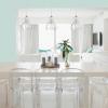Westinghouse 6100800 Fiona Pendant, 1-Light, Oil Rubbed Bronze(Brushed Nickel)