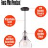 Westinghouse 6100800 Fiona Pendant, 1-Light, Oil Rubbed Bronze(Oil-Rubbed Bronze)