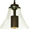 Westinghouse 6102600 Adjustable Mini Pendant, One-Light, Black(Black)