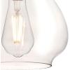Westinghouse 6102600 Adjustable Mini Pendant, One-Light, Black(Brushed Nickel)