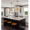 Westinghouse 6111600 Derose Transitional One-Light Indoor Pendant Light Brushed Nickel Finish(Brushed Brass)