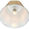 Westinghouse 6111600 Derose Transitional One-Light Indoor Pendant Light Brushed Nickel Finish(Brushed Brass)