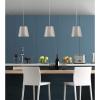 Westinghouse 6111600 Derose Transitional One-Light Indoor Pendant Light Brushed Nickel Finish(Brushed Nickel)