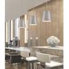 Westinghouse 6111600 Derose Transitional One-Light Indoor Pendant Light Brushed Nickel Finish(Brushed Nickel)