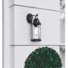 Westinghouse 6113400 Courtland Grove Transitional One-Light Outdoor Wall Light, Matte Black and Antique Pewter Finish, Clear Hammered Glass