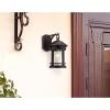 Westinghouse 6114100 Sargut Traditional One-Light Outdoor Wall Light, Textured Black Finish, Clear Seeded Glass