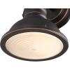 Westinghouse 6116100 Boswell Vintage-Style One-Light Indoor Wall Light Fixture, Oil Rubbed Bronze Finish with Highlights, Frosted Prismatic Acrylic Lens(1-Light)