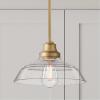 Westinghouse 6116600 Iron Hill Vintage-Style One-Light Indoor Pendant Light, Oil Rubbed Bronze Finish with Highlights, Clear Seeded Glass(Clear Seeded Glass Shade)