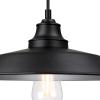 Westinghouse 6116600 Iron Hill Vintage-Style One-Light Indoor Pendant Light, Oil Rubbed Bronze Finish with Highlights, Clear Seeded Glass(Metal Shade)