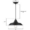Westinghouse 6116600 Iron Hill Vintage-Style One-Light Indoor Pendant Light, Oil Rubbed Bronze Finish with Highlights, Clear Seeded Glass(Metal Shade)