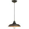 Westinghouse 6116600 Iron Hill Vintage-Style One-Light Indoor Pendant Light, Oil Rubbed Bronze Finish with Highlights, Clear Seeded Glass(Oil Rubbed Bronze / Bronze)
