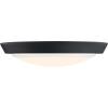 Westinghouse 6117400 Traditional One-Light, 11 Inch 20 Watt LED Indoor Flush Mount Ceiling Light Fixture, Matte Black Finish, Acrylic Shade