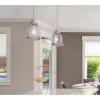 Westinghouse 6117800 Cindy Vintage-Style One-Light Indoor Mini Pendant Light, Brushed Nickel Finish, Clear Glass(Brushed Nickel)