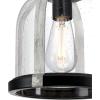 Westinghouse 6117800 Cindy Vintage-Style One-Light Indoor Mini Pendant Light, Brushed Nickel Finish, Clear Glass(Matte Black)