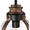 Westinghouse 6117800 Cindy Vintage-Style One-Light Indoor Mini Pendant Light, Brushed Nickel Finish, Clear Glass(Oil-Rubbed Bronze)