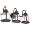 Westinghouse 6118200 Cindy Vintage-Style Three-Light Indoor Vanity Light Fixture, Oil Rubbed Bronze Finish with Barnwood Accents, Clear Seeded Glass