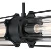 Westinghouse 6118400 Marlowe Industrial-Style Two-Light LED Indoor Pendant Light, Matte Black Finish, Clear Ribbed Glass