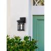 Westinghouse 6120800 Burnham Craftsman-Style One Light Outdoor Wall Fixture, Textured Black Finish, Clear Seeded Glass(Textured Black)