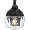 Westinghouse 6121200 Eddystone Traditional One Light Outdoor Wall Fixture with Dusk to Dawn Sensor, Matte Black Finish, Clear Seeded Glass