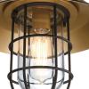 Westinghouse 6121600 Iron Hill Vintage-Style One Light Outdoor Wall Fixture, Black-Bronze Finish with Highlights, Clear Glass 9-Inch(12-Inch)