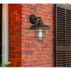 Westinghouse 6121600 Iron Hill Vintage-Style One Light Outdoor Wall Fixture, Black-Bronze Finish with Highlights, Clear Glass 9-Inch(12-Inch)
