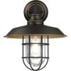 Westinghouse 6121600 Iron Hill Vintage-Style One Light Outdoor Wall Fixture, Black-Bronze Finish with Highlights, Clear Glass 9-Inch(12-Inch)