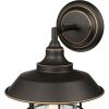 Westinghouse 6121600 Iron Hill Vintage-Style One Light Outdoor Wall Fixture, Black-Bronze Finish with Highlights, Clear Glass 9-Inch(9-Inch)