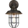 Westinghouse 6121600 Iron Hill Vintage-Style One Light Outdoor Wall Fixture, Black-Bronze Finish with Highlights, Clear Glass 9-Inch(9-Inch)