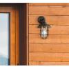 Westinghouse 6121600 Iron Hill Vintage-Style One Light Outdoor Wall Fixture, Black-Bronze Finish with Highlights, Clear Glass 9-Inch(9-Inch)
