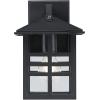 Westinghouse 6123100 Caliste Traditional One Light Outdoor Wall Fixture with Dusk to Dawn Sensor, Black Finish, Clear Glass
