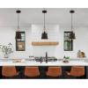 Westinghouse 6125300 Pasco Contemporary One Light Indoor Mini Pendant, Black-Bronze Finish with Leather Strap