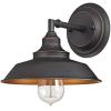Westinghouse 6129100 Iron Hill Vintage-Style One Light Wall Fixture, Brushed Nickel Finish, Clear Glass(Black)