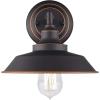 Westinghouse 6129100 Iron Hill Vintage-Style One Light Wall Fixture, Brushed Nickel Finish, Clear Glass(Black)