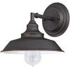 Westinghouse 6129100 Iron Hill Vintage-Style One Light Wall Fixture, Brushed Nickel Finish, Clear Glass(Oil Rubbed Bronze / White)