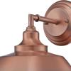 Westinghouse 6129100 Iron Hill Vintage-Style One Light Wall Fixture, Brushed Nickel Finish, Clear Glass(White)