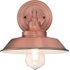 Westinghouse 6129100 Iron Hill Vintage-Style One Light Wall Fixture, Brushed Nickel Finish, Clear Glass(White)