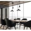 Westinghouse 6129300 Iron Hill Vintage-Style One Light Indoor Pulley Pendant, Matte Black Finish(Matte Black)