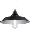 Westinghouse 6129300 Iron Hill Vintage-Style One Light Indoor Pulley Pendant, Matte Black Finish(Matte Black)