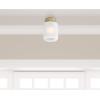 Westinghouse 6131200 Judd Transitional 8 Inch, One Light Semi-Flush Mount Ceiling Fixture, Matte Black Finish, Clear Glass(Champagne Brass)
