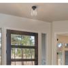 Westinghouse 6131200 Judd Transitional 8 Inch, One Light Semi-Flush Mount Ceiling Fixture, Matte Black Finish, Clear Glass(Oil-Rubbed Bronze)