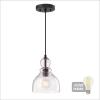 Westinghouse 6132800 Fiona Traditional One Light LED Indoor Mini Pendant, Brushed Nickel Finish, Clear Seeded Glass(Oil-Rubbed Bronze Finish)