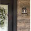 Westinghouse 6204000 Emma Jane One-Light Outdoor Wall Lantern, 1-Pack, Amber Bronze(Amber Bronze)