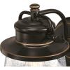 Westinghouse 6204000 Emma Jane One-Light Outdoor Wall Lantern, 1-Pack, Amber Bronze(Amber Bronze)