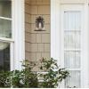 Westinghouse 6204000 Emma Jane One-Light Outdoor Wall Lantern, 1-Pack, Amber Bronze(Amber Bronze)