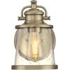 Westinghouse 6204000 Emma Jane One-Light Outdoor Wall Lantern, 1-Pack, Amber Bronze(Antique Brass)