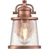 Westinghouse 6204000 Emma Jane One-Light Outdoor Wall Lantern, 1-Pack, Amber Bronze(White)